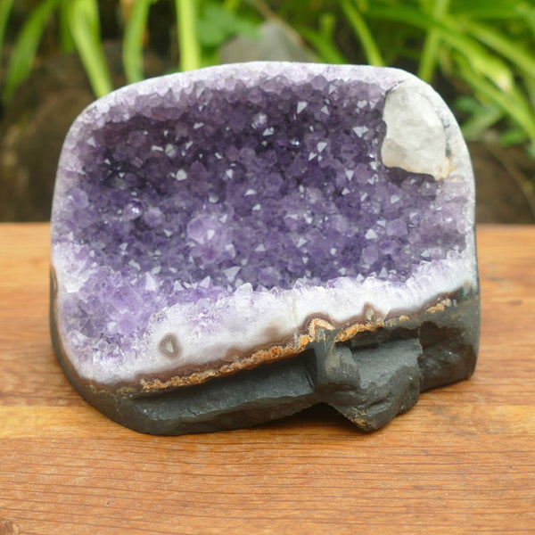 Amethyst Cluster with Cut base with Deepest Purples