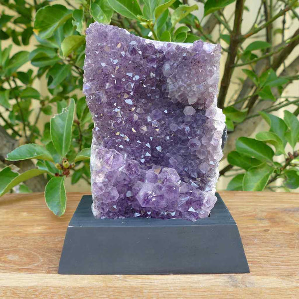 Amethyst Cluster on Wooden Base - 1.48kgs