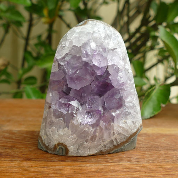 Elegant Purple Amethyst Crystal Cluster with Cut Base