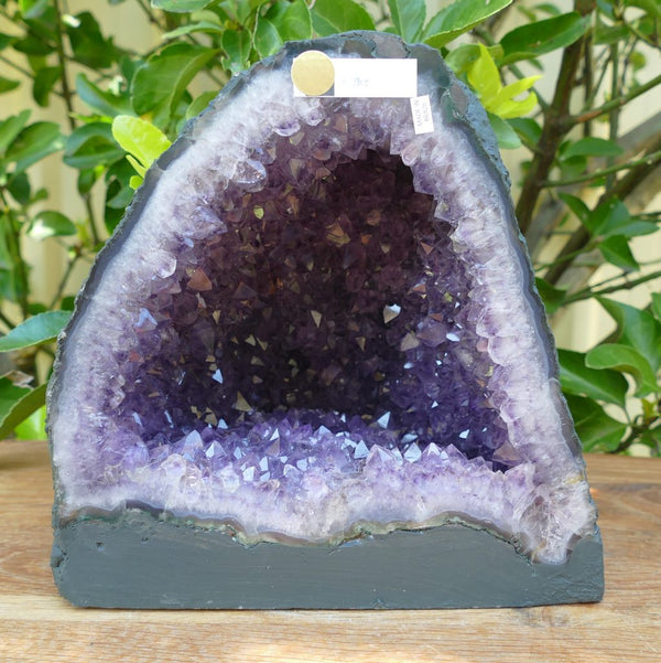 Amethyst Geode Cave 6.2kg