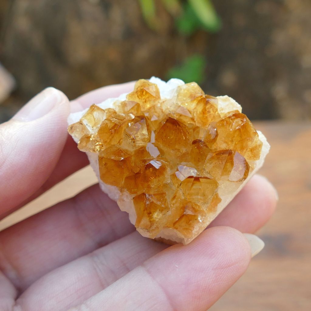 5 pack citrine clusters