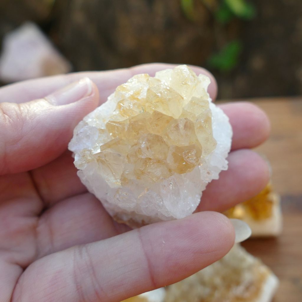 5 pack citrine clusters