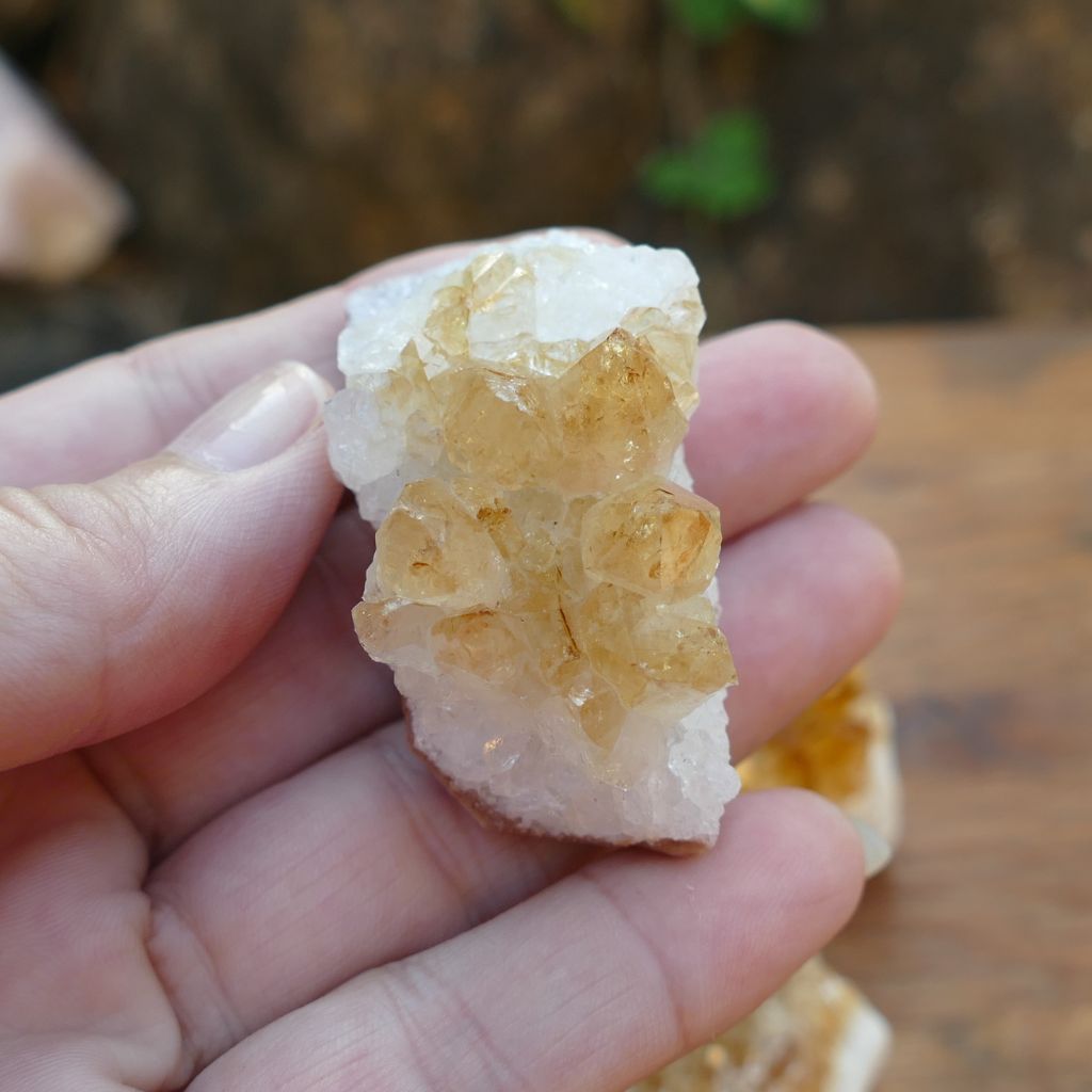 5 pack citrine clusters
