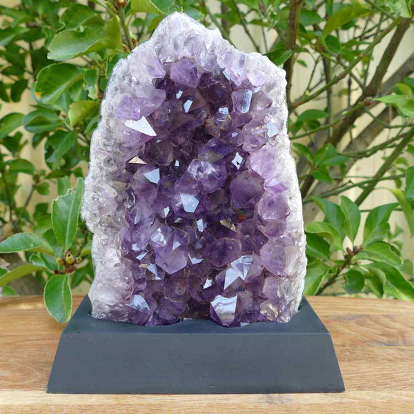 Amethyst Cluster on Wooden Base - 2.8kgs