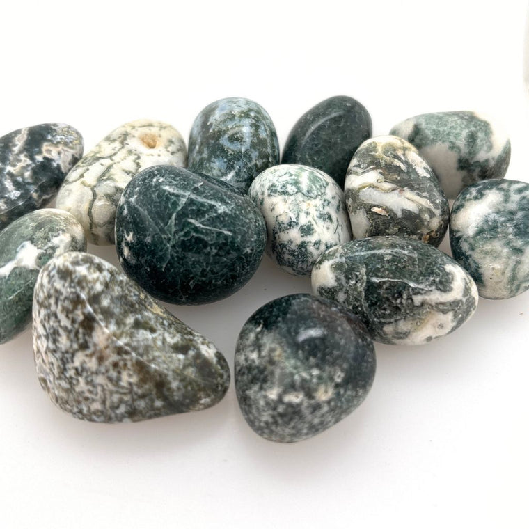 tree agate tumble stones