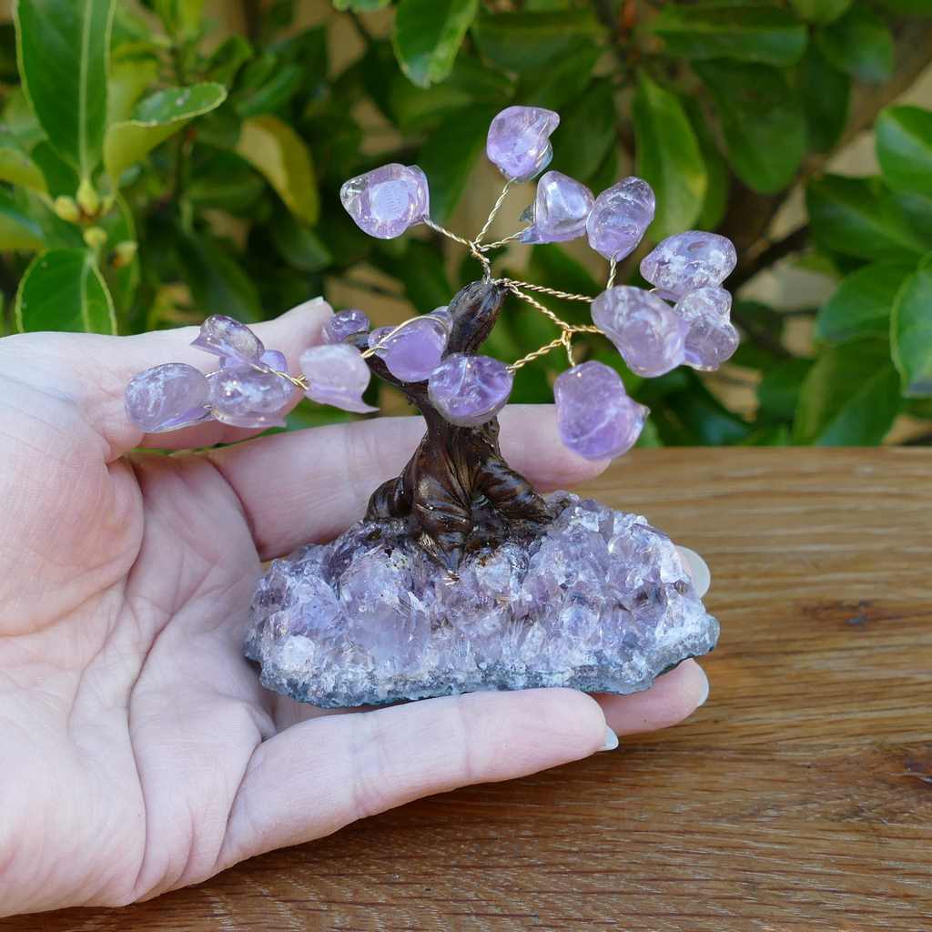 Bonsai Gem Tree - Amethyst