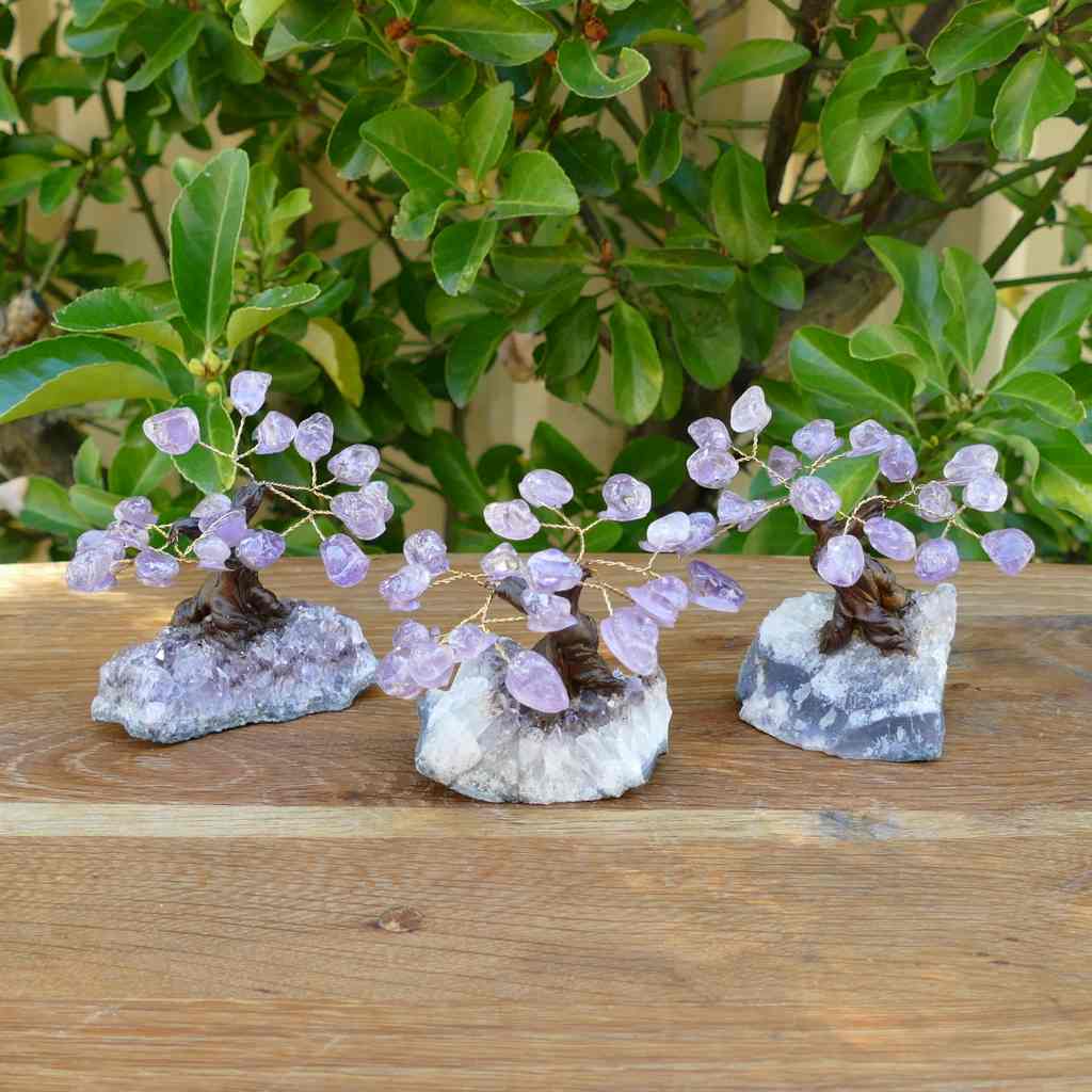 Bonsai Gem Tree - Amethyst