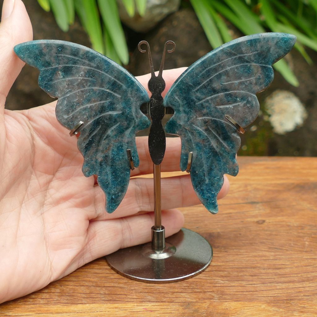 Natural Blue Apatite Butterfly Wings on Stand | Crystal Butterfly Display
