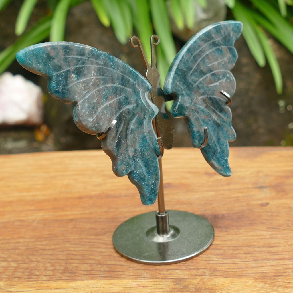Natural Blue Apatite Butterfly Wings on Stand | Crystal Butterfly Display