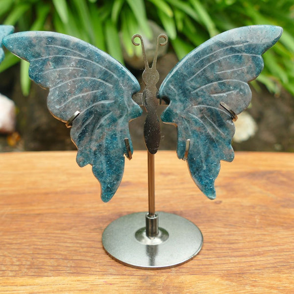 Natural Blue Apatite Butterfly Wings on Metal Stand