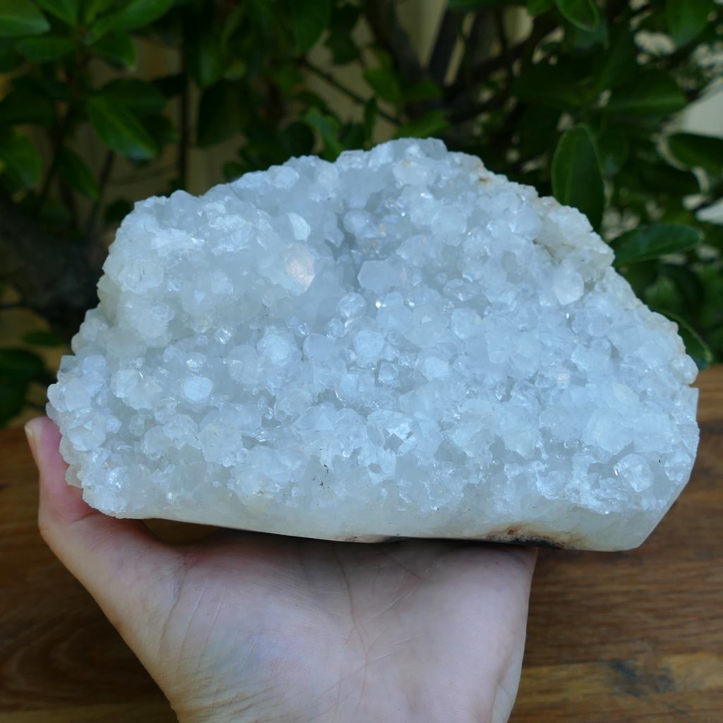 apophyllite cluster