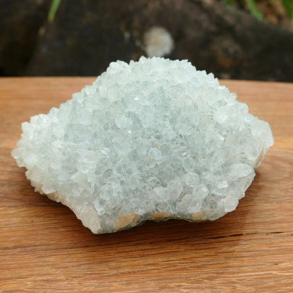 Apophyllite Crystal Cluster