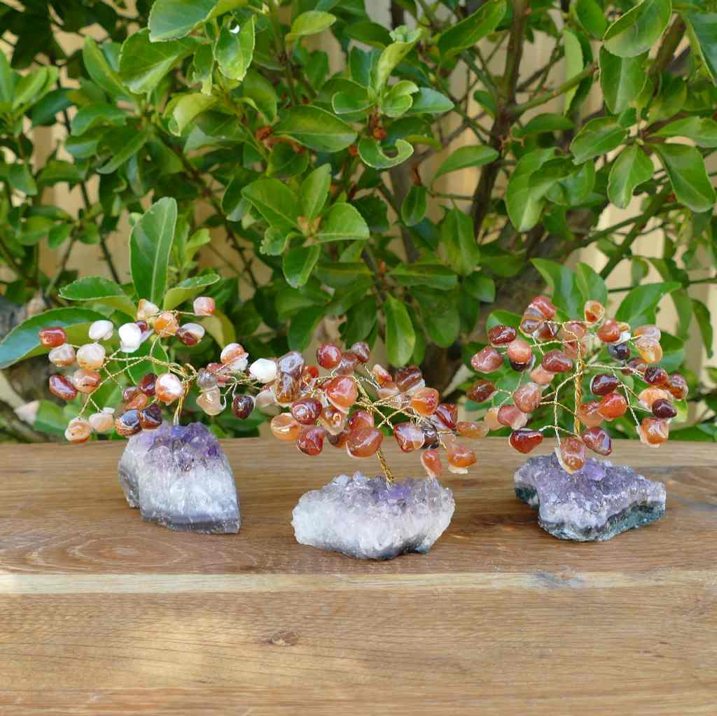 Crystal Gem Tree - Carnelian