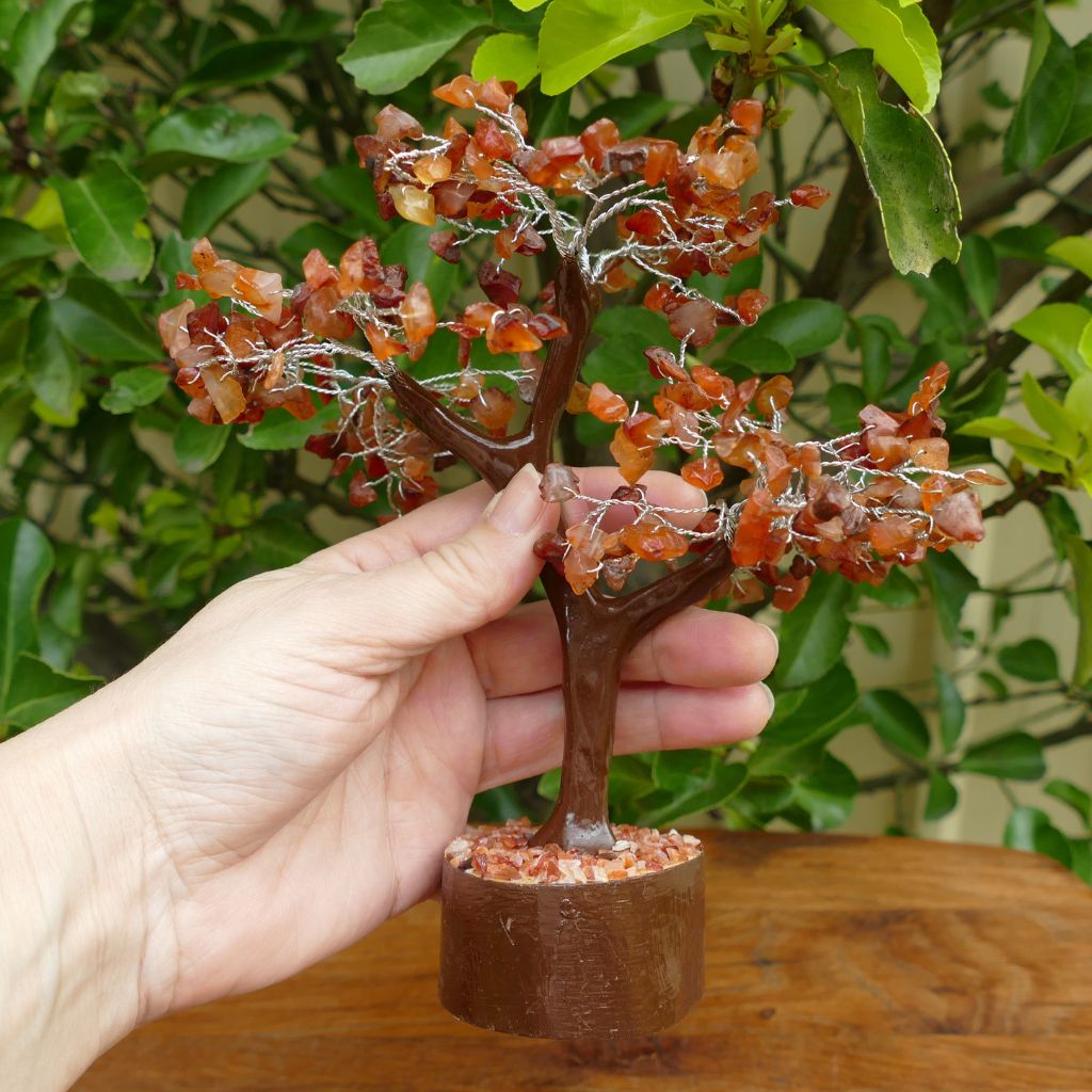 Carnelian Crystal tree on Wood base