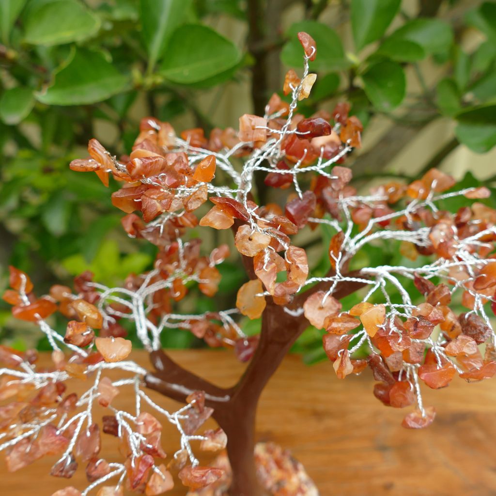 Carnelian Crystal tree on Wood base