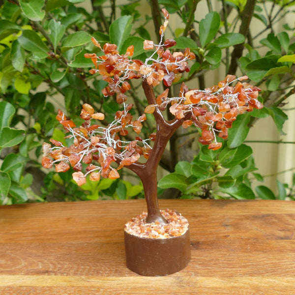 Crystal Gem Tree on Wooden Base - Carnelian