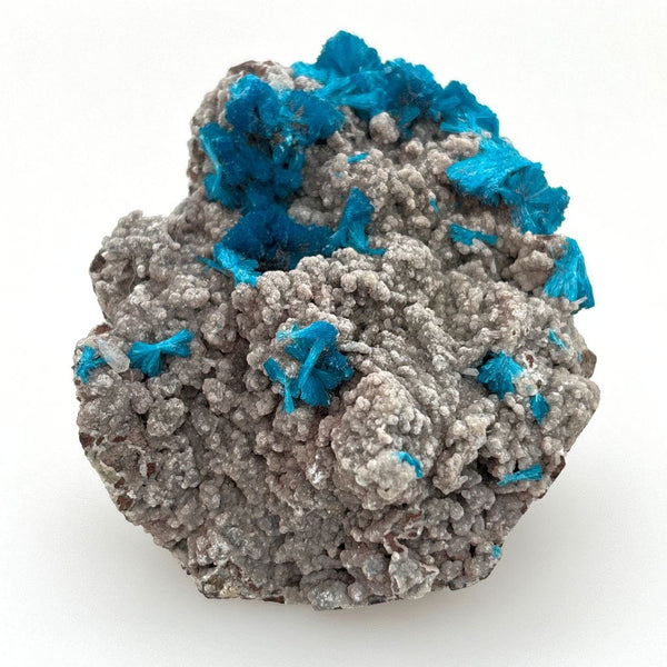 Cavansite Crystal Cluster on Matrix – Rare Cavansite Mineral Specimen
