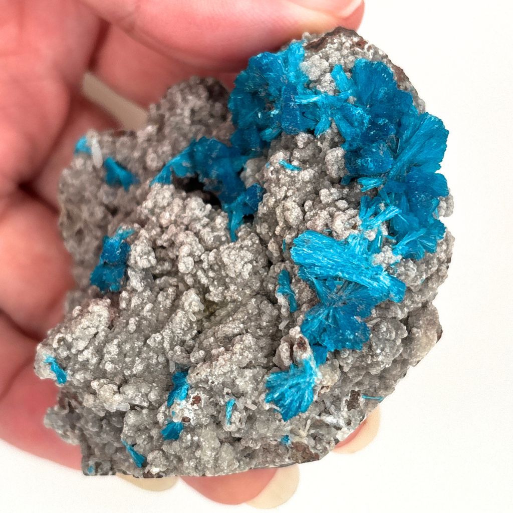 Cavansite on Matrix – Natural Crystal Cluster
