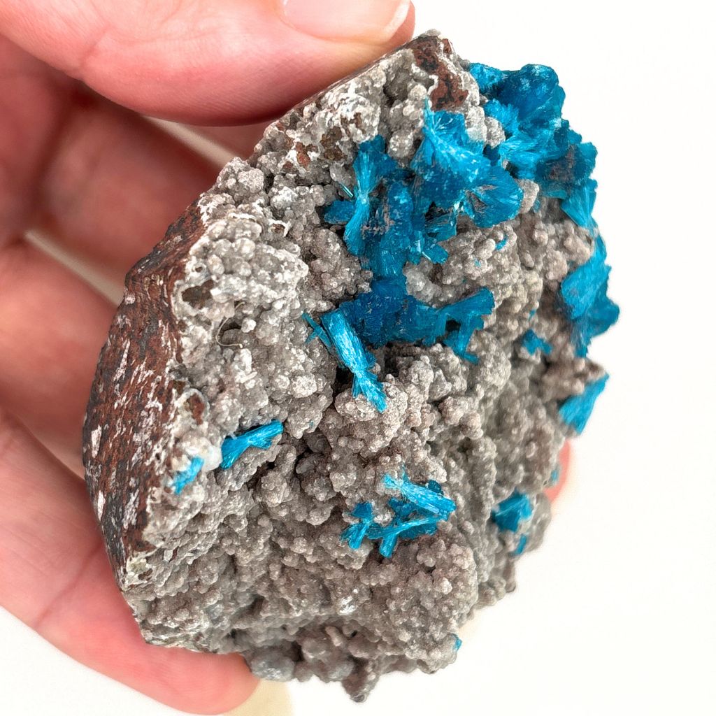 Cavansite on Matrix – Natural Crystal Cluster