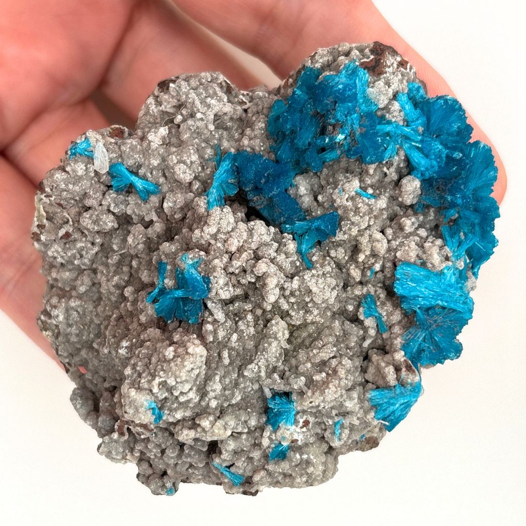 Cavansite on Matrix – Natural Crystal Cluster
