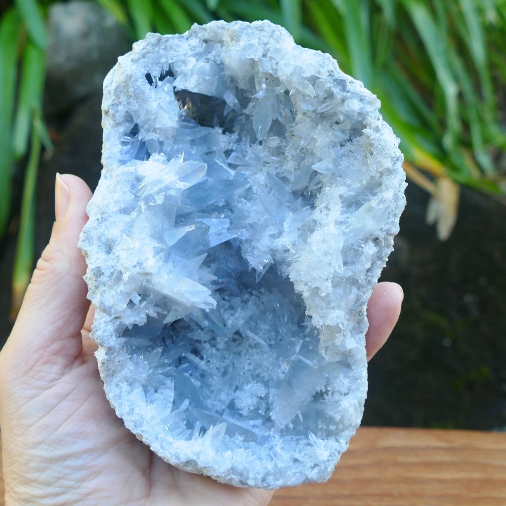 Natural Celestite crystal cluster 798g with sparkling sky blue crystal points and druzy formations.
