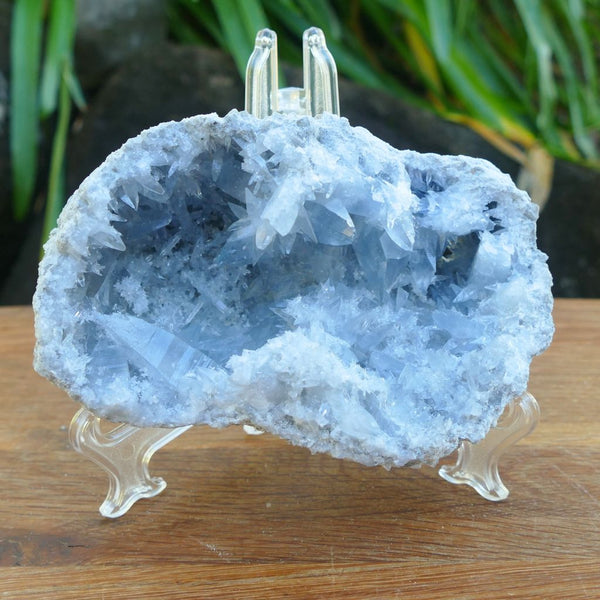 Celestite Crystal Cluster – 798g