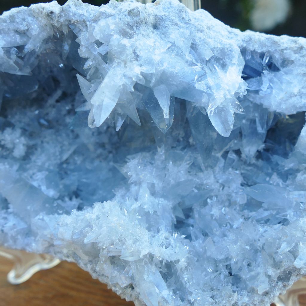 Natural Celestite crystal cluster 798g with sparkling sky blue crystal points and druzy formations.