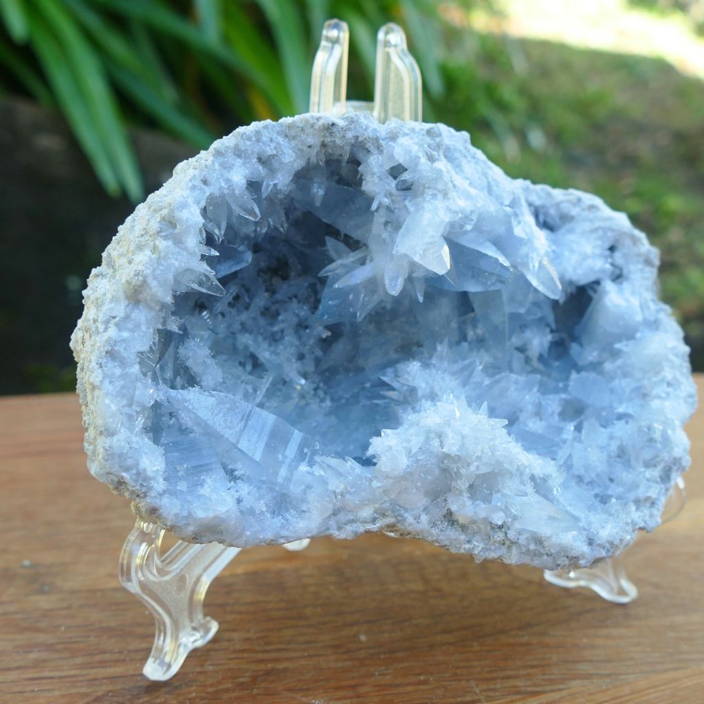 Natural Celestite crystal cluster 798g with sparkling sky blue crystal points and druzy formations.