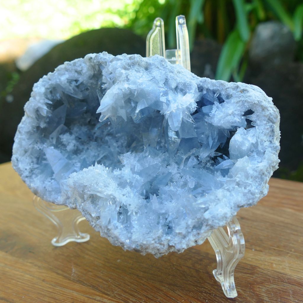 Natural Celestite crystal cluster 798g with sparkling sky blue crystal points and druzy formations.