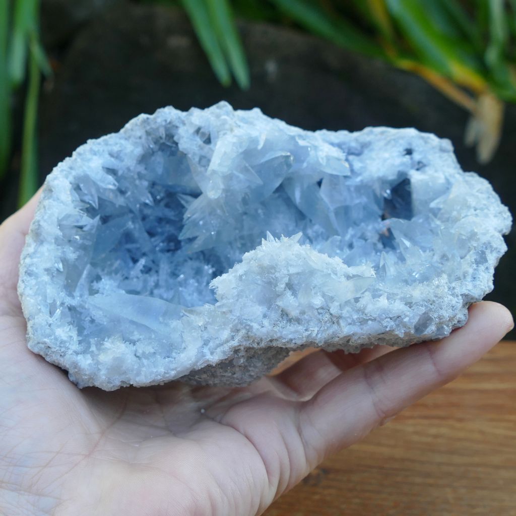 Natural Celestite crystal cluster 798g with sparkling sky blue crystal points and druzy formations.