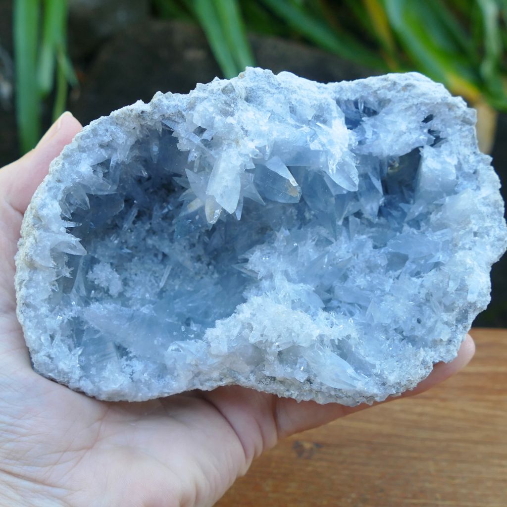 Natural Celestite crystal cluster 798g with sparkling sky blue crystal points and druzy formations.