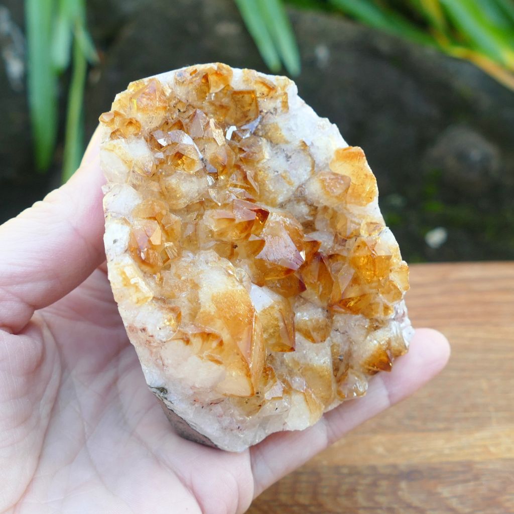 Citrine Crystal Cluster with Cut Base – 487g Abundance Crystal Display