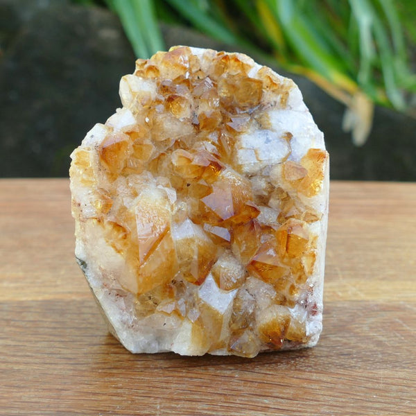Citrine Crystal Cluster with Cut Base – 487g Abundance Crystal Display