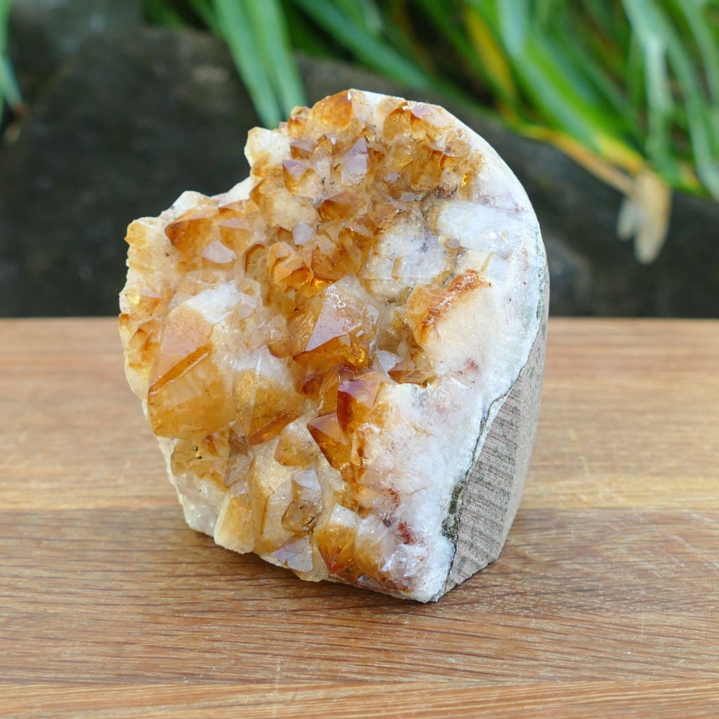 Citrine Crystal Cluster with Cut Base – 487g Abundance Crystal Display
