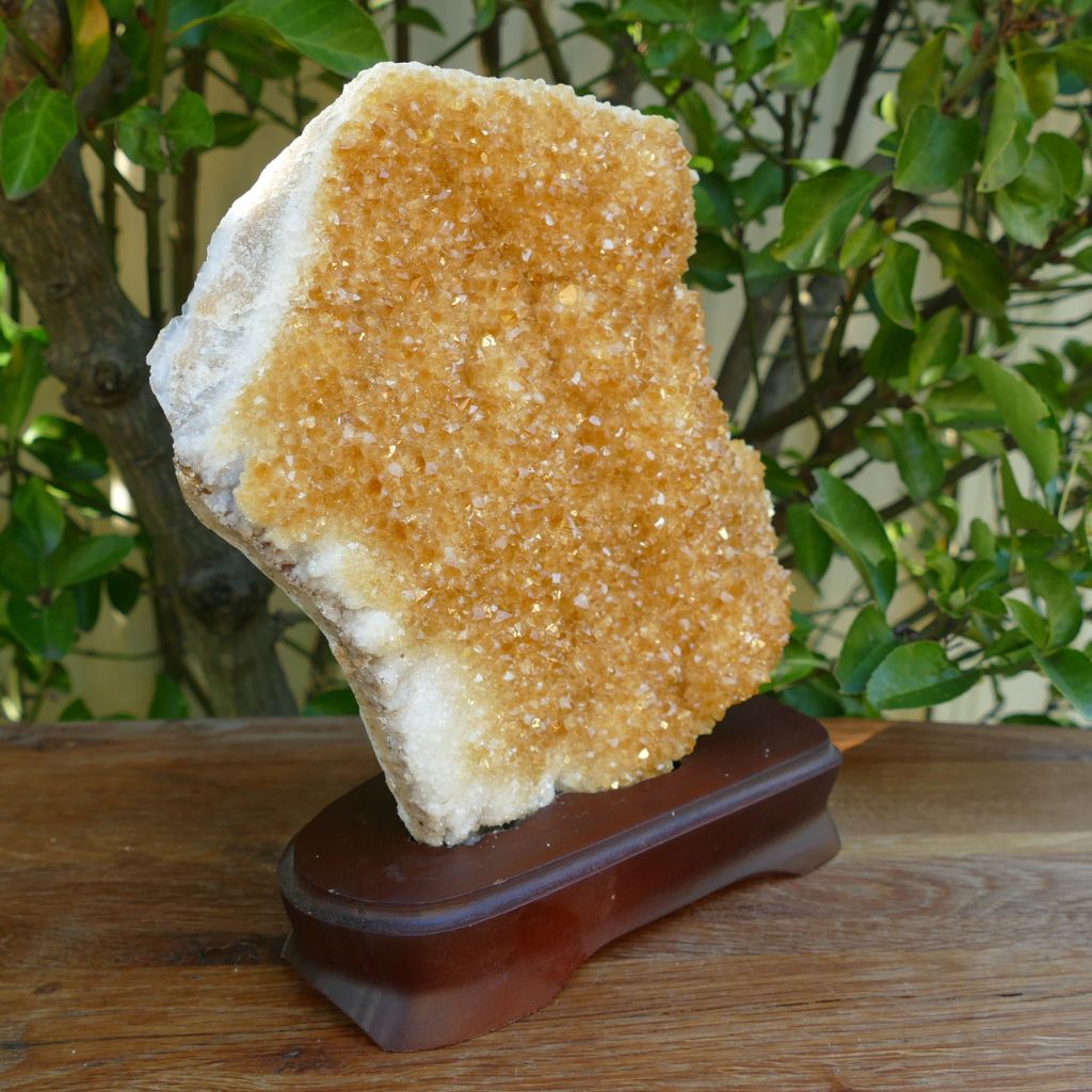 citrine cluster on Wood stand