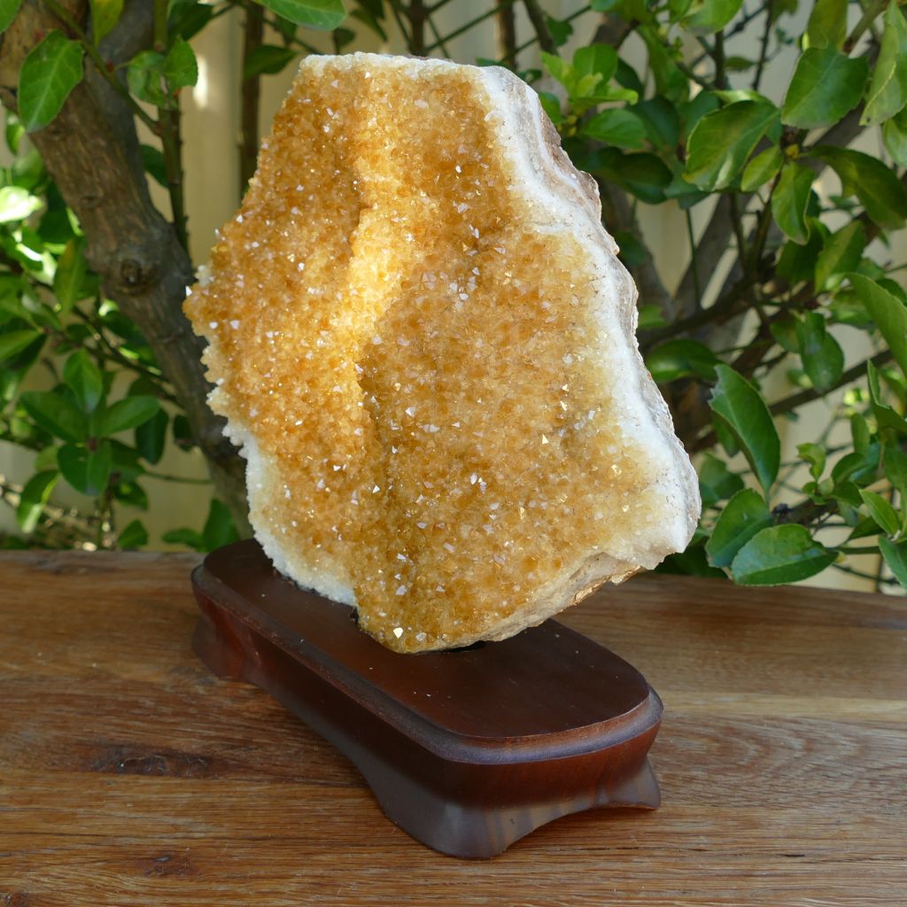 citrine cluster on Wood stand