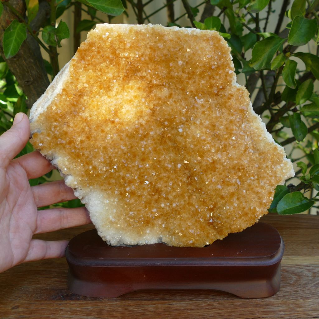 citrine cluster on Wood stand