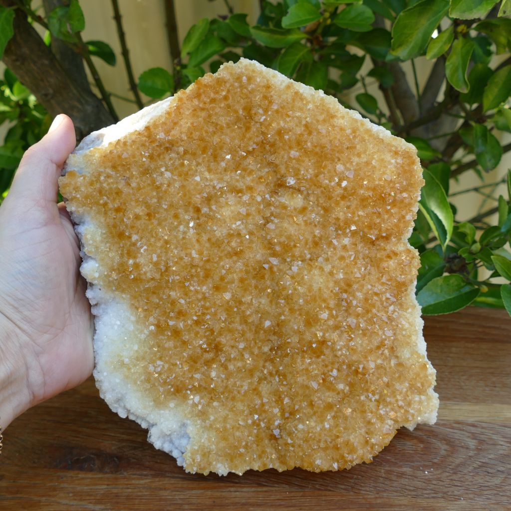 citrine cluster on Wood stand