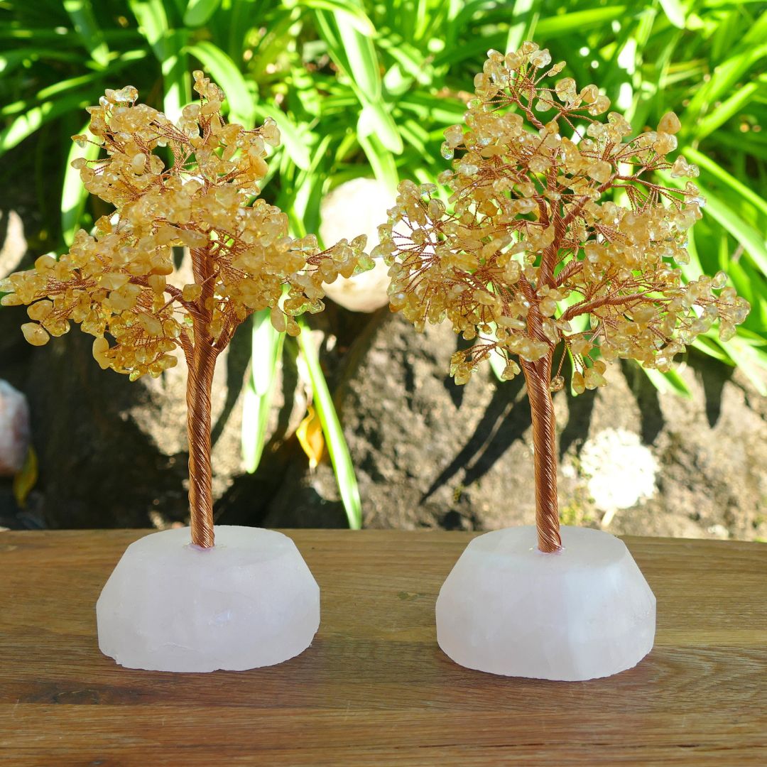 Citrine Crystal Gem Tree on Rose Quartz Base | Wealth Tree