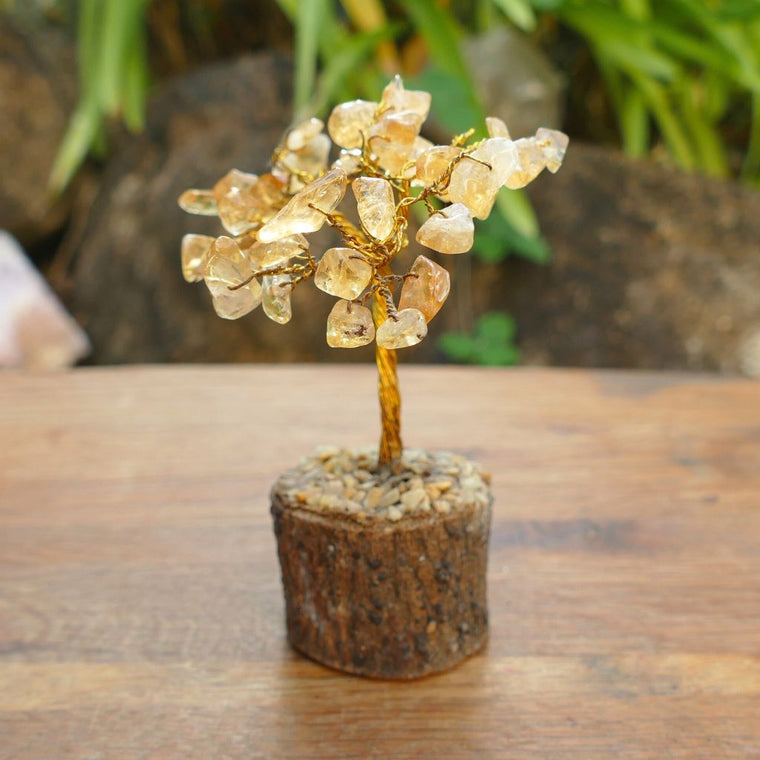 citrine crystal gem tree