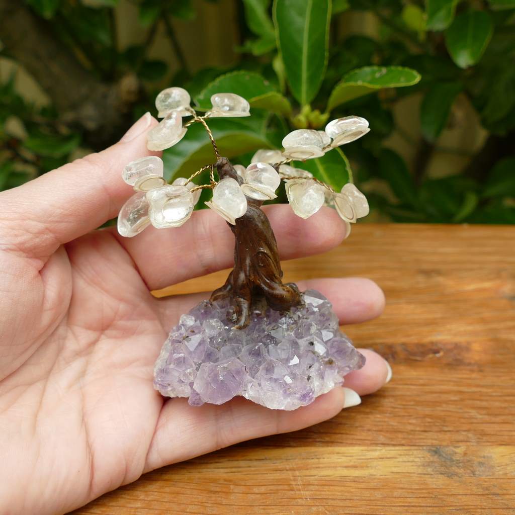Bonsai Gem Tree with Beautiful Clear Quartz Crystals on an Amethyst Crystal Base