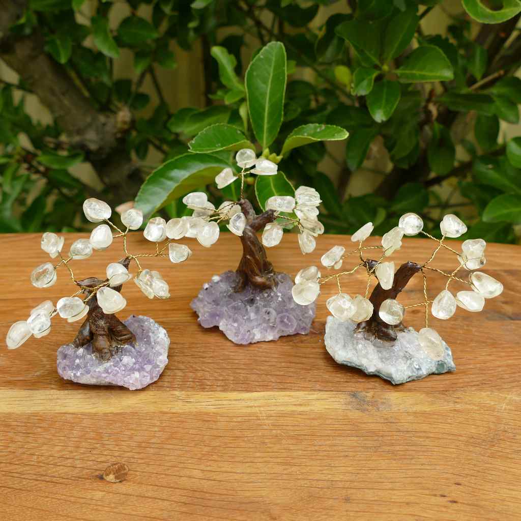 Bonsai Gem Tree with Beautiful Clear Quartz Crystals on an Amethyst Crystal Base