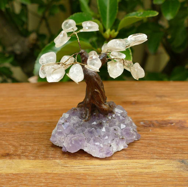 Bonsai Gem Tree with Beautiful Clear Quartz Crystals on an Amethyst Crystal Base