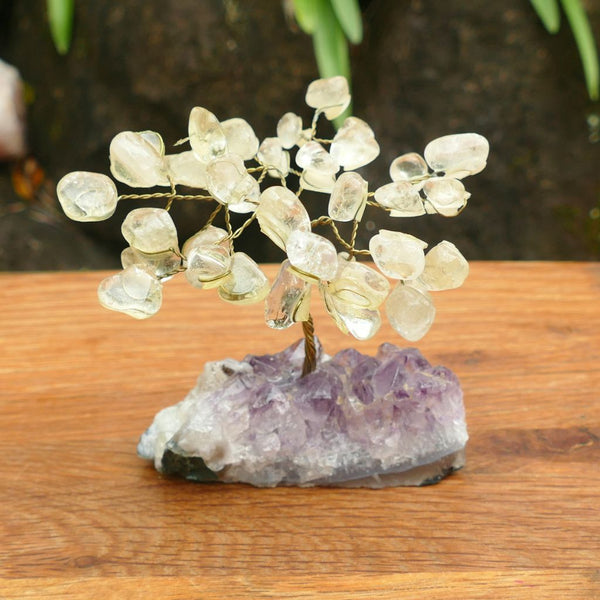 Crystal Gem Tree - Clear Quartz on Amethyst Base