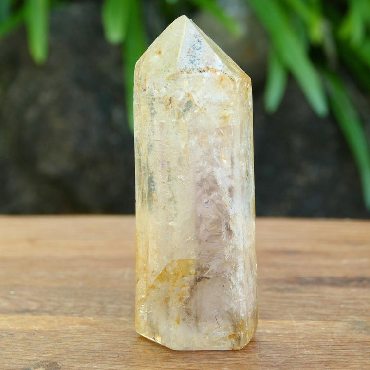 Polished Clear Quartz crystal point with natural mineral inclusions and golden earthy tones