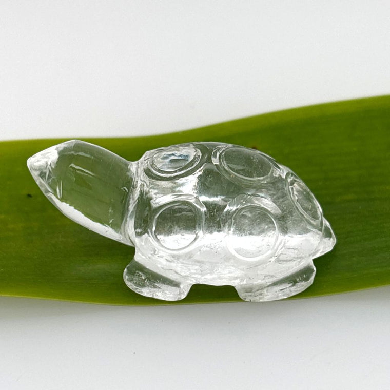 clear quartz crystal turtle