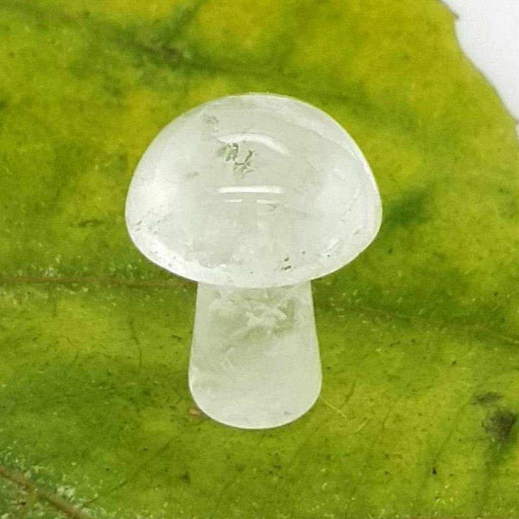 Mini Crystal Mushrooms