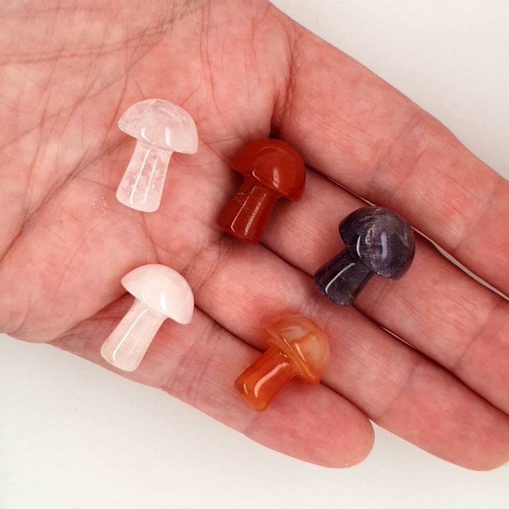 Mini Crystal Mushrooms