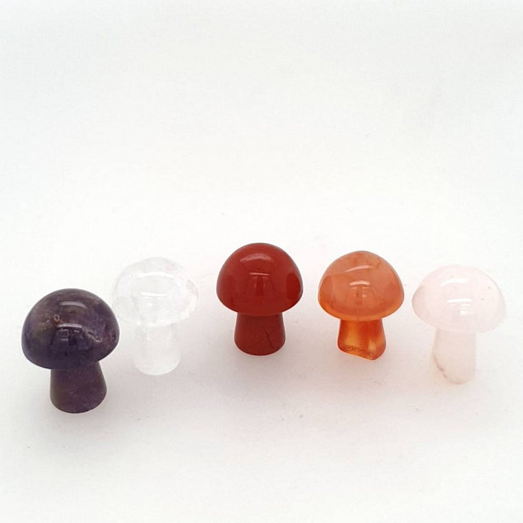 mini crystal mushrooms