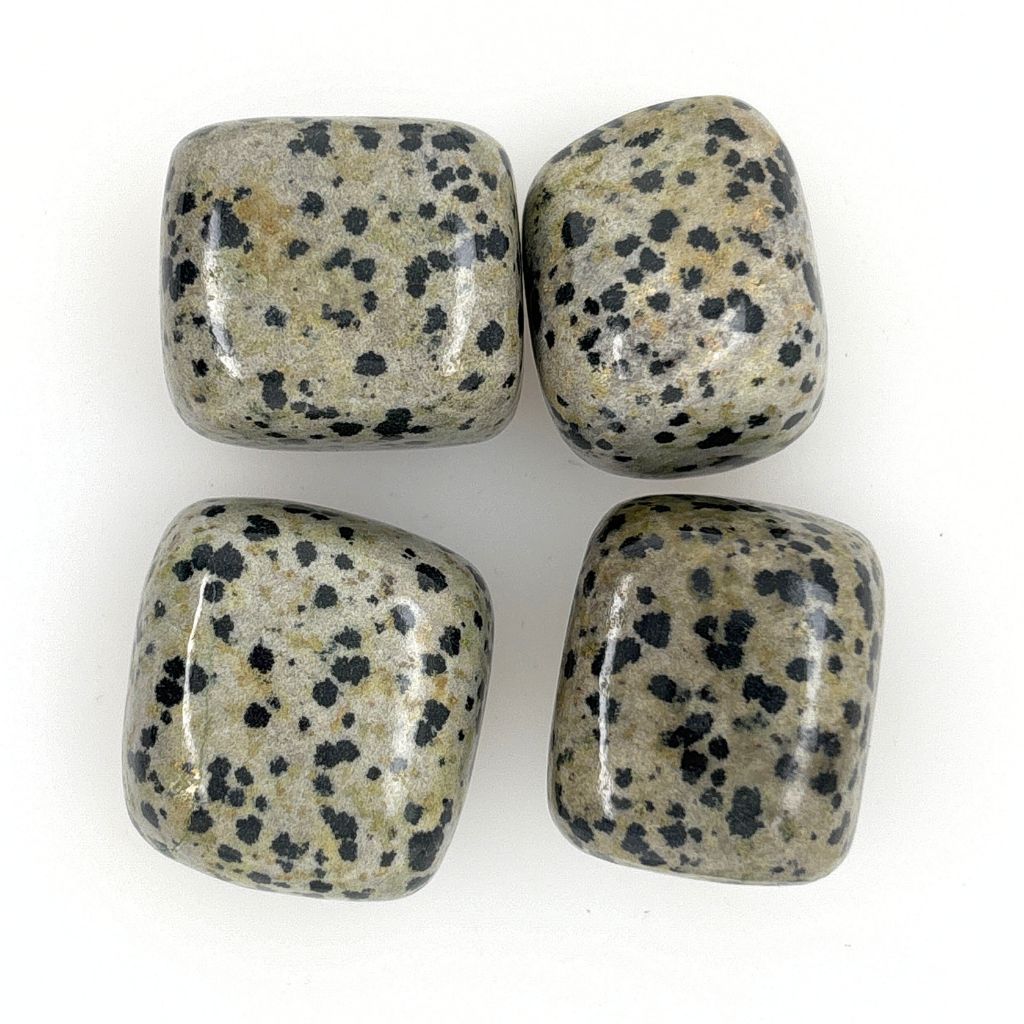 dalmatian jasper tumble stones